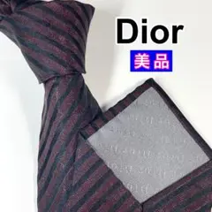 ✨美品✨ Dior Homme ディオール オム　ネクタイ　コーティング