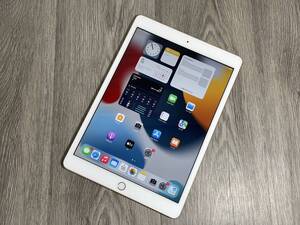 E-036 Apple iPad 7世代 MW792LL/A A2197 Wi-Fi 32GB ピンクゴールド 