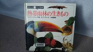 【送料無料／匿名配送】『熱帯雨林の生きもの～クローズアップ図鑑』グリーナウェイ/バーバラ・テイラー/岩波書店/なかなか出ない/初版