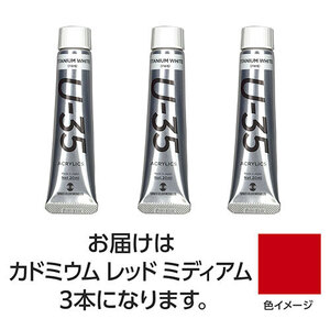 まとめ得 【3本×3セット】 ターナー色彩 U35 カドミウムレッドミディアム20ml TURNER108649X3 x [2個] /l