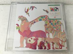 ●○F029 CD ろん ろんかば J-POP ZOO オリジナルCD○●