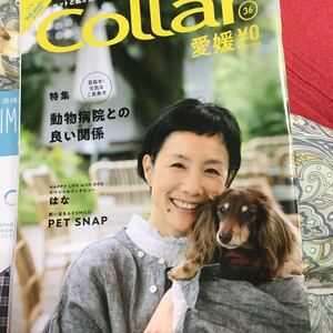 カラー collar はな 愛媛 フリーペーパー 犬