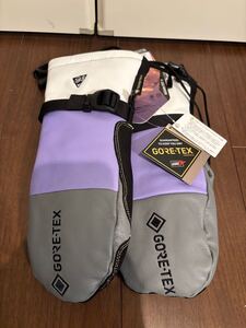 EBS エビス CARVING MITT NII カービングミット　Sサイズ GORE-TEX