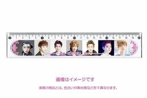 exo エクソ チャンヨル 定規 20cm 001