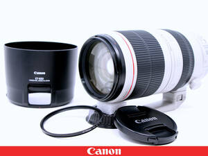 ★極上美品★Canon キャノン EF100-400mm F4.5-5.6L IS II USM 2型★フィルター フード 三脚座付属★画質 機動力 操作性バツグン望遠ズーム