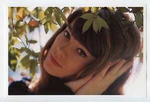 ［フォト4x6］ フランソワーズ・アルディ 27A 写真(小) Francoise Hardy