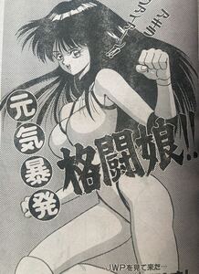 女子プロレス・女子格闘漫画『元気暴発！格闘娘』掲載漫画雑誌 ▼ 青年漫画 キャットファイト