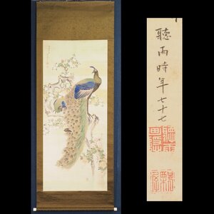 【真作】【渡鹿庵】[小山聴雨] 15381 大幅 掛軸 日本画 雌雄孔雀図 合箱 絹本 花鳥図 熊本 肥後 師福田太華 師松村呉春 在銘