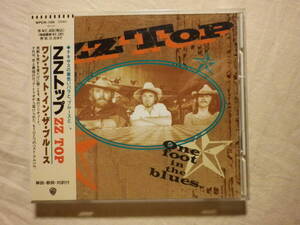 『ZZ Top/One Foot In The Blues(1994)』(1994年発売,WPCR-159,廃盤,国内盤帯付,歌詞対訳付,Brown Sugar,My Head