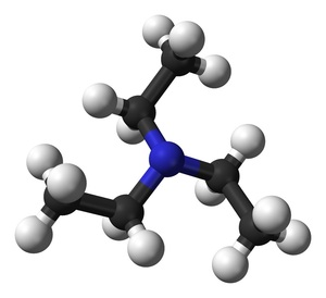 トリエチルアミン 99.5% 300ml C6H15N 有機化合物標本 試薬 試料 第三級アミン TEA 塩基