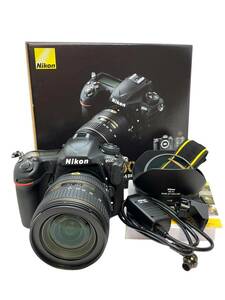 Nikon D500 / AF-S DX NIKKOR 16-80mm f2.8-4E ED VR ニコン //109201