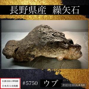 《お宝発掘祭り》水石 長野県産 繰矢石 ウブ横19×高16×奥行7(cm) 1.7kg盆栽骨董盆石古美術鑑賞石観賞石太湖石中国古玩 5750