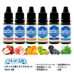 電子タバコ リキッド リキッド工房 10ml お試し6本セット（ストロングメンソール 完熟アップル 完熟桃 完熟みかん マスカット 巨峰）