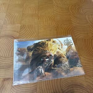 MONSTER HUNTER 20th 記念品　ハガキ？　未開封品