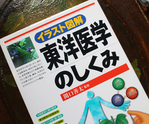 『イラスト図解 東洋医学のしくみ』関口 善太 中古本 used book 鍼灸 漢方 中医学