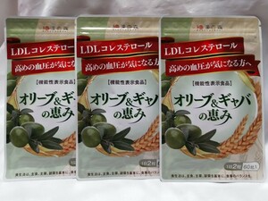60粒×3袋 オリーブ&ギャバの恵み 和漢の森 LDLコレステロール 悪玉コレステロール 血圧