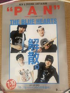 【激レア】THE BLUE HEARTS ブルーハーツ PAN ポスター