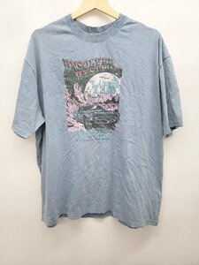 ◇ ◎●未使用●⊂Φ PAGEBOY タグ付き　カーロック　プリント 半袖 Tシャツ　カットソー サイズF ブルー レディース P