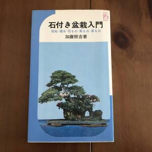 石付き盆栽入門　松柏・雑木・花もの・実もの・草もの　加藤照吉　池田書店　昭和52年　【74】