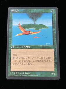 極楽鳥 Birds of Paradise 4版黒枠 日本語 【送料込み】