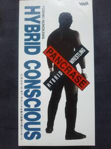 CD 布川俊樹 ハイブリッド・コンシャス パンクラスのテーマ VADV-2010 TOSHIKI NUNOKAWA HYBRID CONSCIOUS PANCRASE VALIS 船木誠勝 