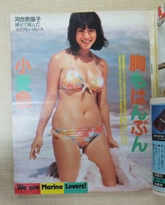 雑誌　河合奈保子 水着 石川秀美 パンジー 忌野清志郎