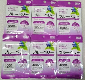 ブルーベリー【合計120日分6袋】1日1錠 デスクワークや車の運転をよくする方に 栄養機能食品 日本製 サプリメント