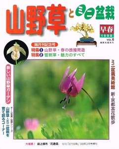 山野草とミニ盆栽　1998年早春号　雪割草　ミニ盆栽 他 【雑誌】