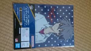 【一番くじ】 　エヴァンゲリオン ～エヴァ初号機、咆哮！～　H賞　クリアファイル　カヲル