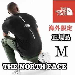 THE NORTH FACE ザ ノースフェイス VERTICAL NSE メンズ 半袖 Tシャツ バッグデザイン 海外限定 正規品 完売品 ブラック 黒 S M コットン