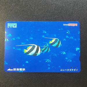 2005年8月25日発売柄ー「ムレハタタテダイ」ー阪急ラガールカード(使用済スルッとKANSAI)