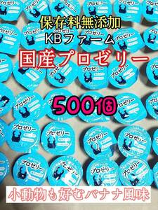 KBファーム 国産プロゼリー16g 500個 カブトムシ クワガタ 昆虫 オオクワガタ