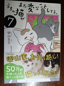 145：うちの猫がまた変なことしてる。　7