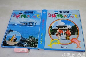 1-5379【絵葉書】EXPO’75 海洋博と沖縄のすべて 42枚函