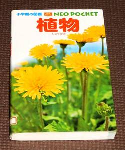 植物 小学館の図鑑・ネオぽけっと みちばたの草からキノコまで 1円～