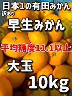 日本1 有田みかん 早生10kg 大玉 和歌山県産 早生みかん