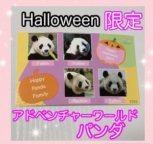 新品レア品非売品2024Halloween限定パンダミニフォトカード