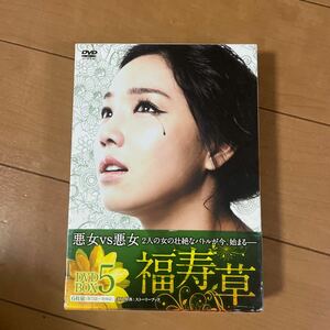 福寿草 DVD-BOX 5