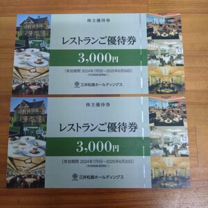 三井松島ホールディングス 株主優待　レストランご優待券【6000円分】　ラ・ロシェル　2025年6月30日まで