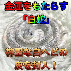 金運上げる白蛇♪白ヘビ♪オルゴナイト☆彡　「神聖な白蛇の皮を封入！」 最強金運　 宝くじ♪勝負運♪資産運用♪昇進