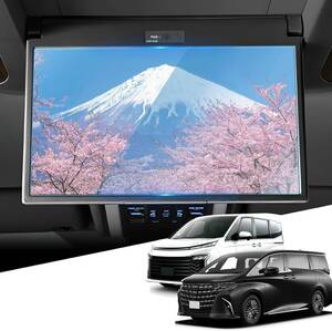 13.2インチ (V13T-R72F|R72R) WEIPIN ガラス フィルム 新型 13.2型 後席モニター 有機el V13