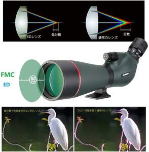 フィールドスコープ 20-60x 80mm スポッティング EDガラス バード デュアルスピードフォーカス アーチェリー防水 射撃 野鳥観察 星空観測