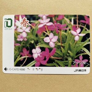 【使用済】 花イオカード JR東日本 アッツ桜　　　　