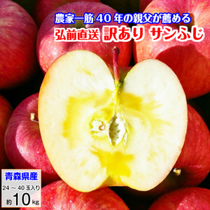 家庭用 りんご サンふじ 訳あり リンゴ 林檎 10kg 青森産 葉とらず ふじ フジ 富士 冨士 産地直送