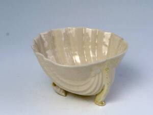 　Belleek　=　Old-BIG-Sugar Bowl　=　Cream-Shell (1級品)