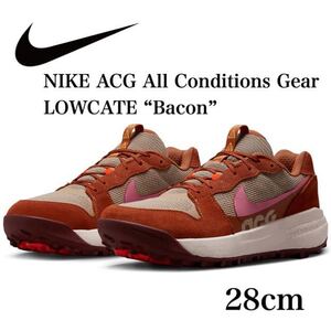 NIKE ACG All Conditions Gear LOWCATE “Bacon”ナイキ ACG ローケート “ベーコン”DM8019-201【未使用】箱無し　ブラウン28cm