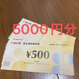 DCMホールディングス 株主買物優待券　5000円分　 DCM 株主優待　5/31 有効期限　ホームセンター　