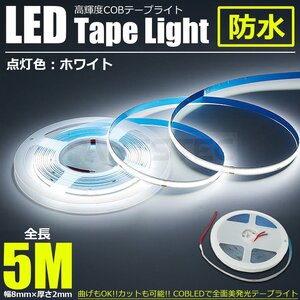 送料無料 24V 極薄 LED テープライト ホワイト 白 5M 2個セット 厚さ2ｍｍ COB 面発光 柔軟 防水 チューブライト トラック /146-222x2 SM-N