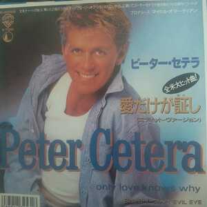 ピーター セテラ peter cetera 愛だけが証し only love knows why ８７年 ep 7inch AOR 元 シカゴ chicago シングル エディット 