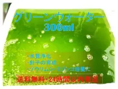 グリーンウォーター（青水）300ml